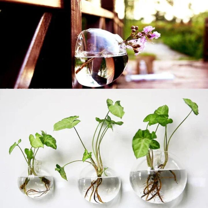 1+1 Gratis | Elegante Glas-Wandvase – Minimalistischer Pflanzenhalter Mivoza Deutschland