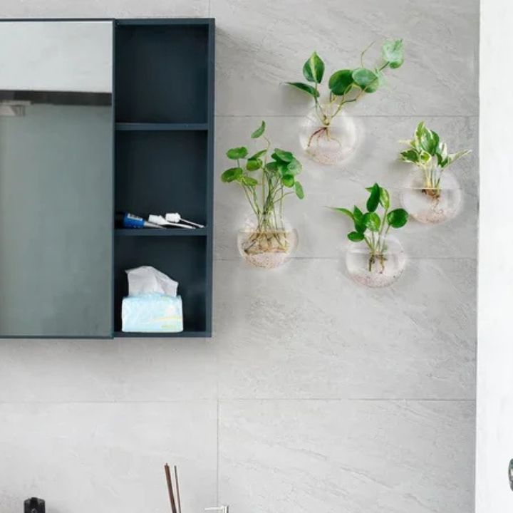 1+1 Gratis | Elegante Glas-Wandvase – Minimalistischer Pflanzenhalter Mivoza Deutschland