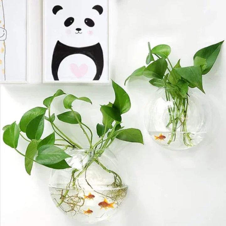 1+1 Gratis | Elegante Glas-Wandvase – Minimalistischer Pflanzenhalter Mivoza Deutschland
