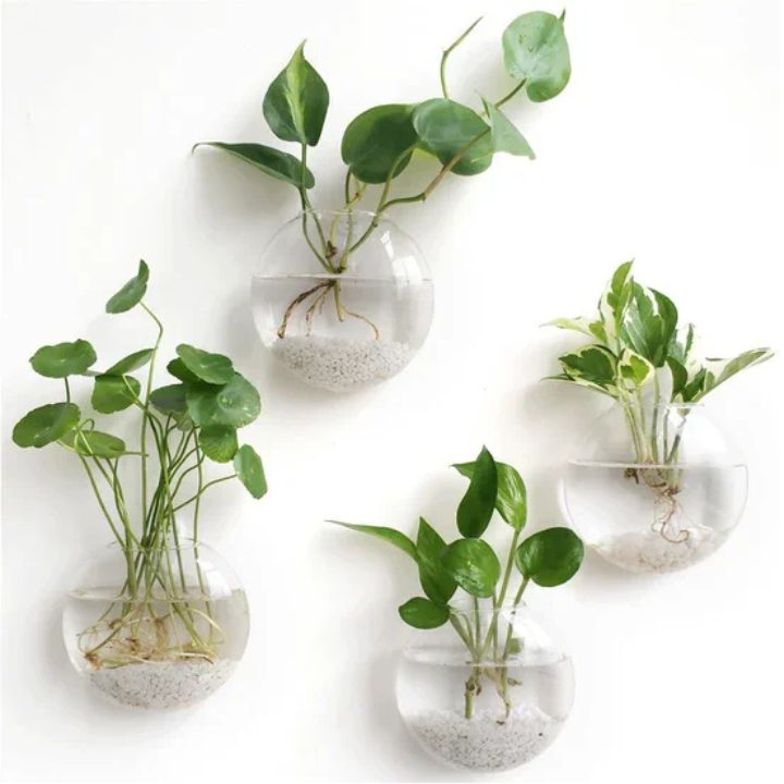 1+1 Gratis | Elegante Glas-Wandvase – Minimalistischer Pflanzenhalter Mivoza Deutschland