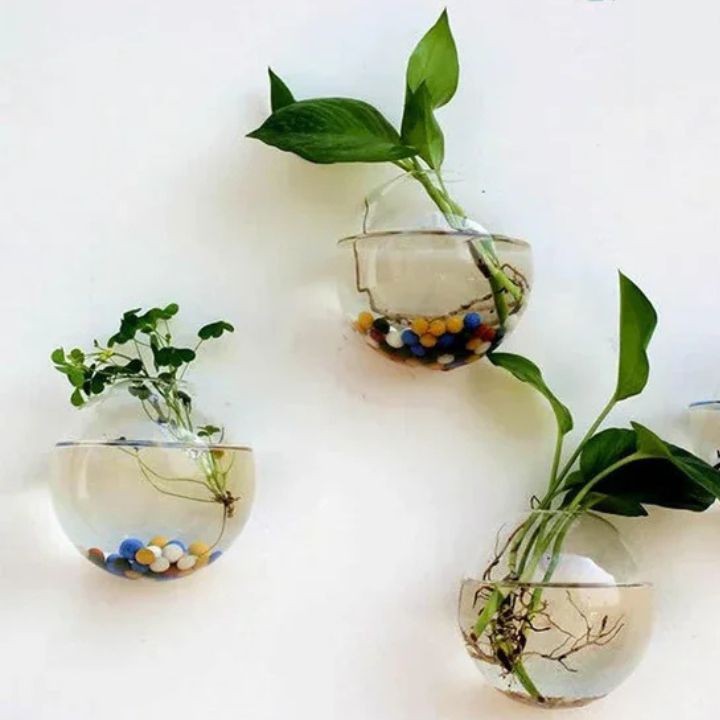1+1 Gratis | Elegante Glas-Wandvase – Minimalistischer Pflanzenhalter Mivoza Deutschland