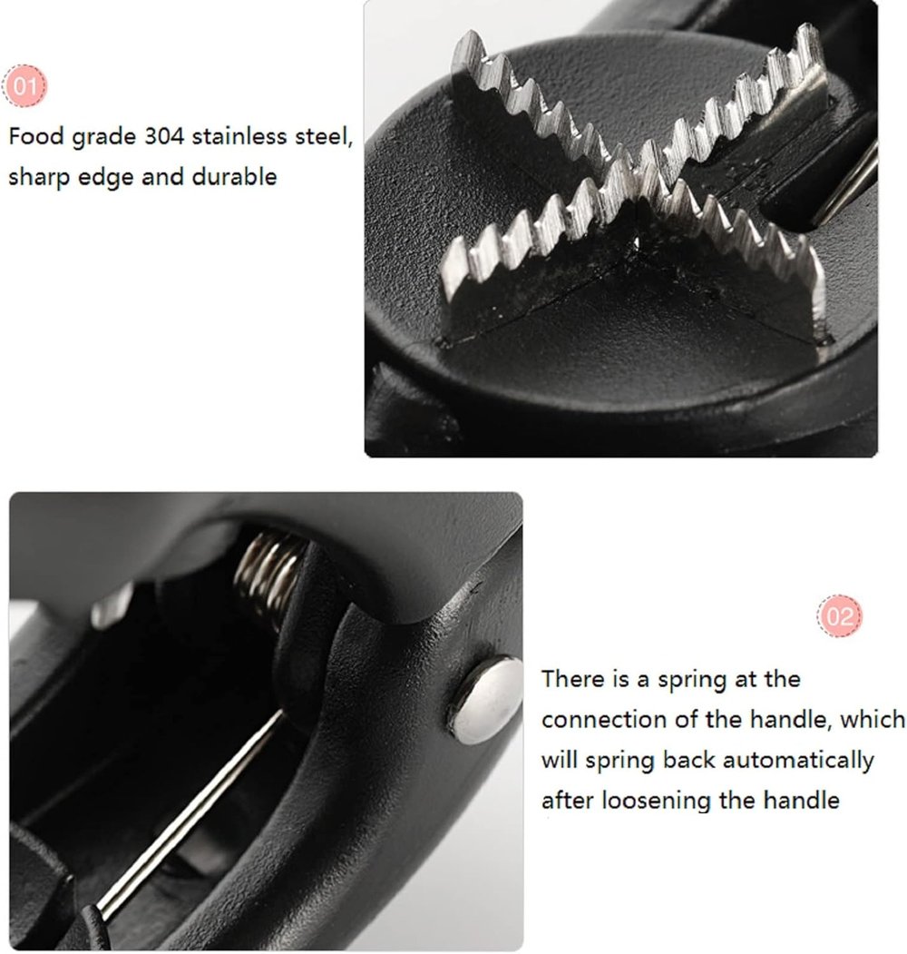 Tamme kastanjeschiller – Pel snel en veilig kastanjes & noten