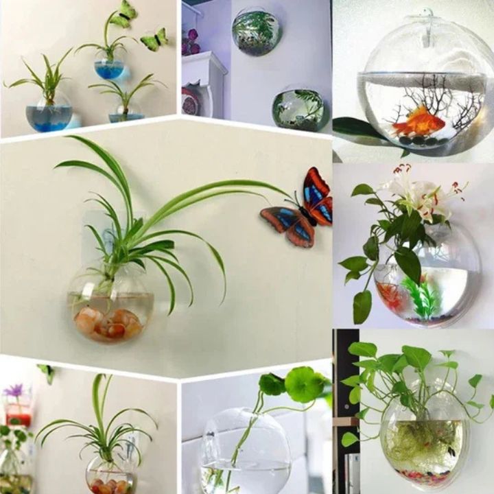 1+1 Gratis | Elegante Glas-Wandvase – Minimalistischer Pflanzenhalter Mivoza Deutschland