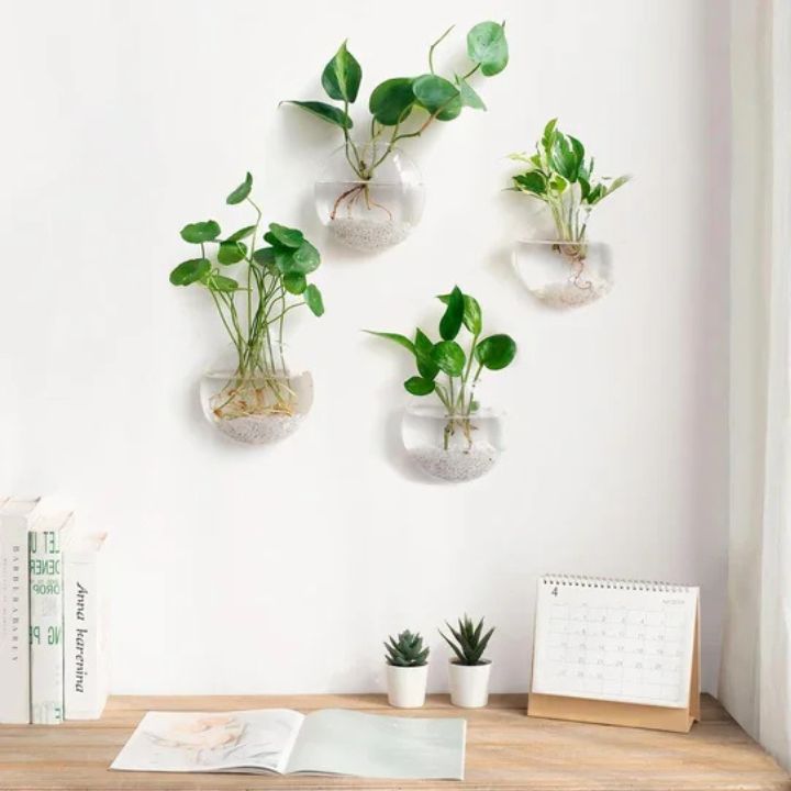 1+1 Gratis | Elegante Glas-Wandvase – Minimalistischer Pflanzenhalter Mivoza Deutschland