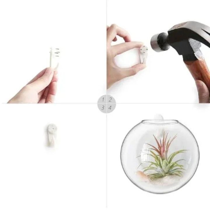1+1 Gratis | Elegante Glas-Wandvase – Minimalistischer Pflanzenhalter Mivoza Deutschland