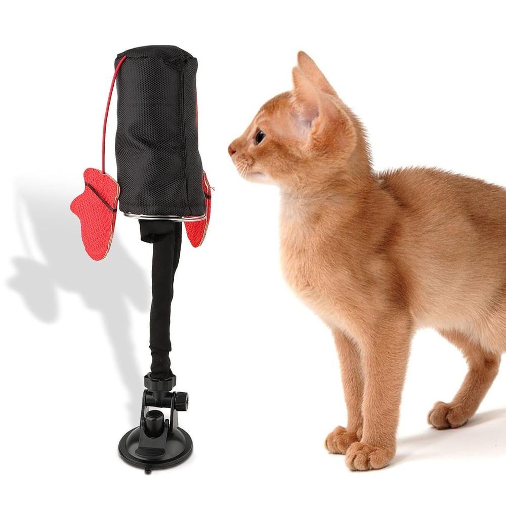 Kattenspeelgoed — natuurlijk jachtinstinct en speelplezier