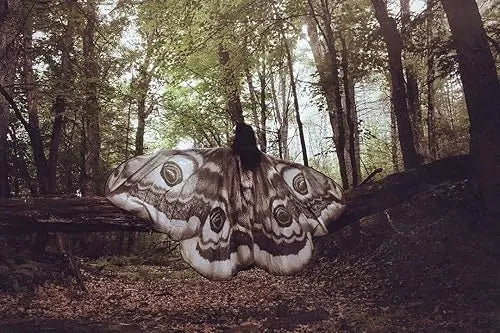 Mystieke Mantel "Grijze Mot" – Elegant en Magisch in een Adembenemende Cape