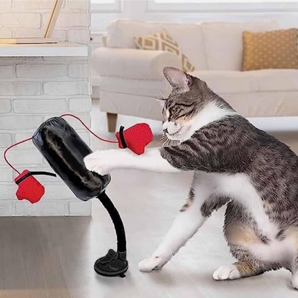 Kattenspeelgoed — natuurlijk jachtinstinct en speelplezier