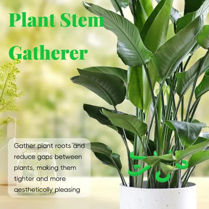 Set Stengelstabilisator voor Planten – Voor Gezonde Groei & Veilige Ondersteuning