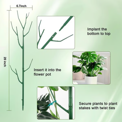 Set plantensteunen — voorkomt omvallen van grote bladplanten 5-delige set