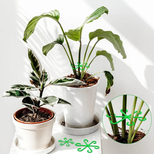 Set Stengelstabilisator voor Planten – Voor Gezonde Groei & Veilige Ondersteuning