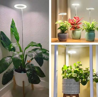 Verstelbare LED Plantlamp – Stralende groene planten in elk hoekje