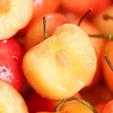 Rainier Cherry Zaden - Hoogwaardige kersen Zorenza