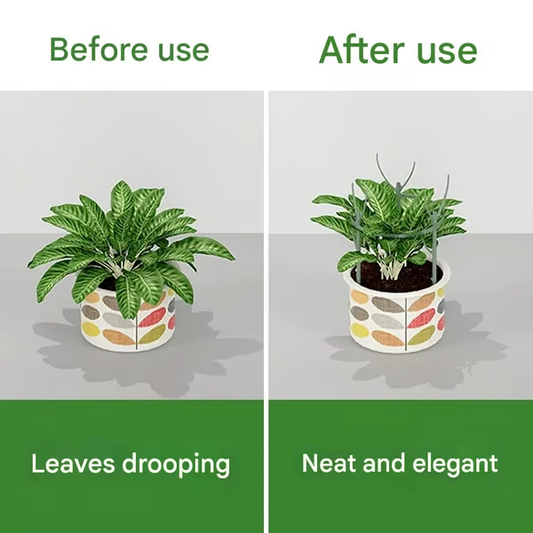 Set plantensteunen — voorkomt omvallen van grote bladplanten 5-delige set