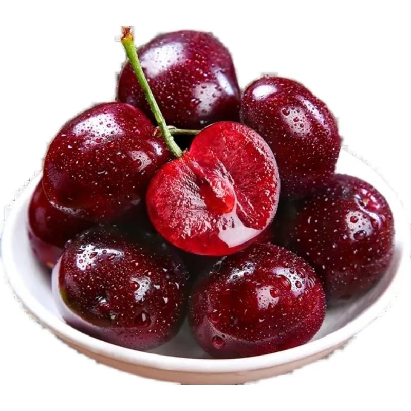 Rainier Cherry Zaden - Hoogwaardige kersen Zorenza