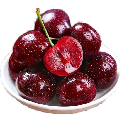 Rainier Cherry Zaden - Hoogwaardige kersen Zorenza