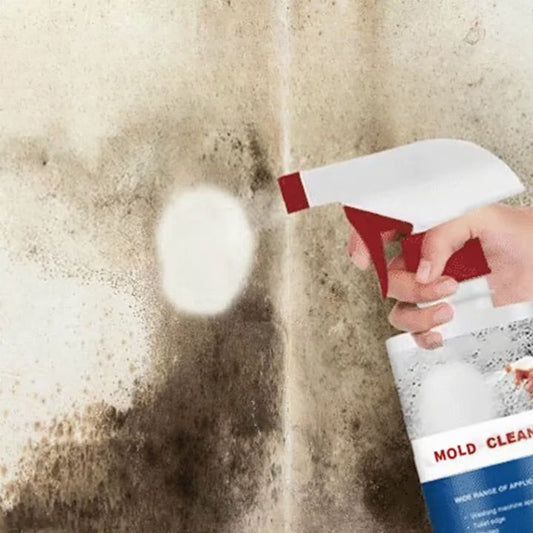 Schimmelentferner-Schaum Spray gegen Schimmel & Geruch Mivoza Deutschland