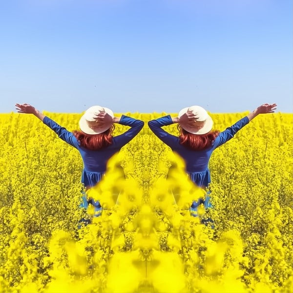 Spieglensclip voor Perfecte Symmetrische Foto’s