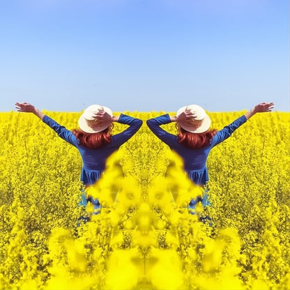 Spieglensclip voor Perfecte Symmetrische Foto’s