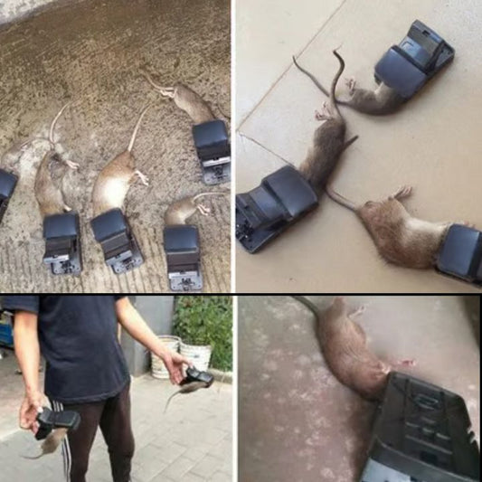Sterke rattenval – Supersnelle klapval