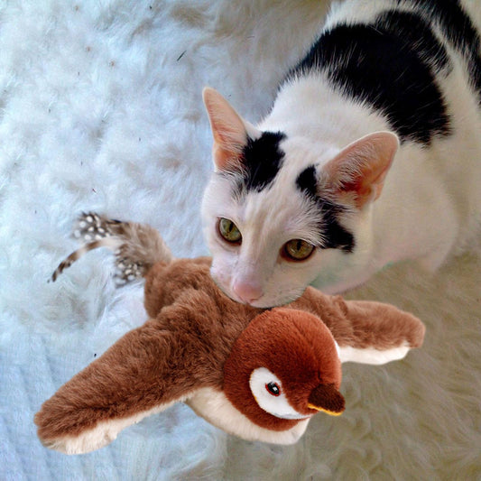 Kattenspeelgoed vogel — bevordert ook beweging bij te zware & luie katten