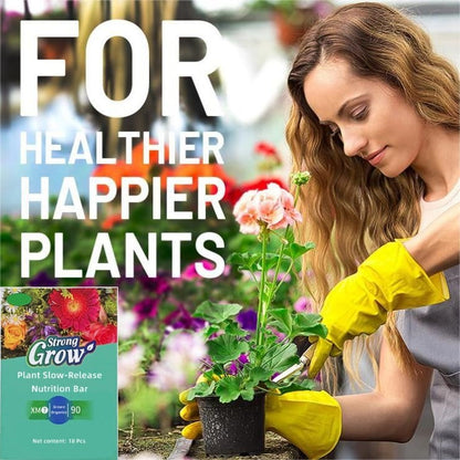 Plantenvoedingsstokken – Langdurige voeding voor gezonde groei