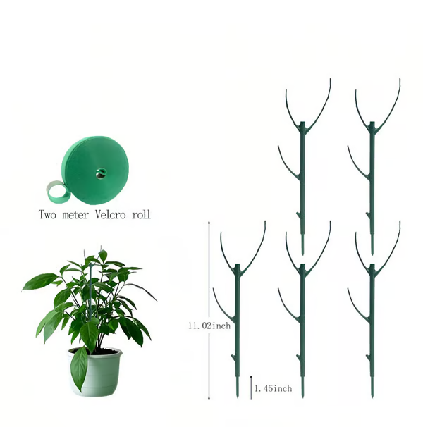 Set plantensteunen — voorkomt omvallen van grote bladplanten 5-delige set