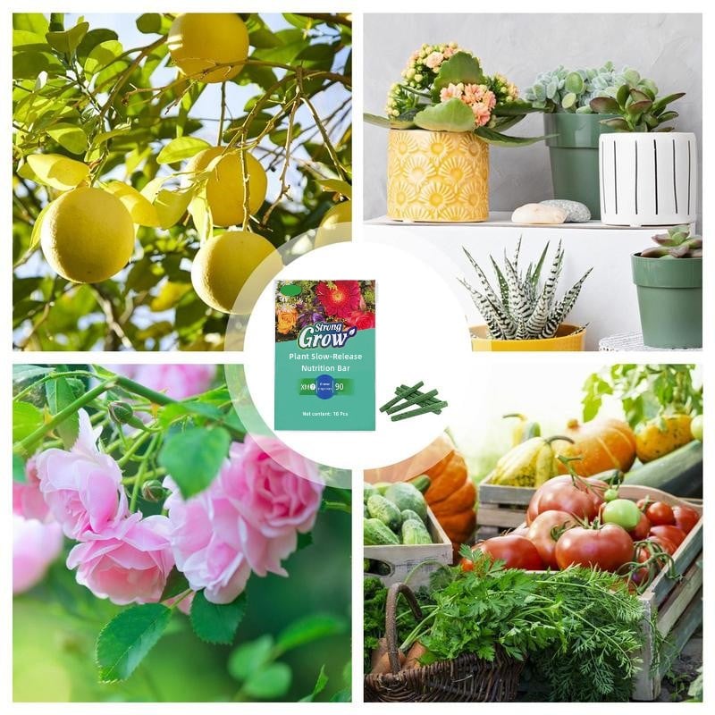 Plantenvoedingsstokken – Langdurige voeding voor gezonde groei