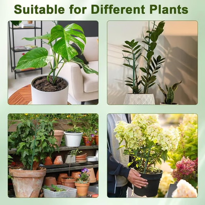 Set plantensteunen — voorkomt omvallen van grote bladplanten 5-delige set