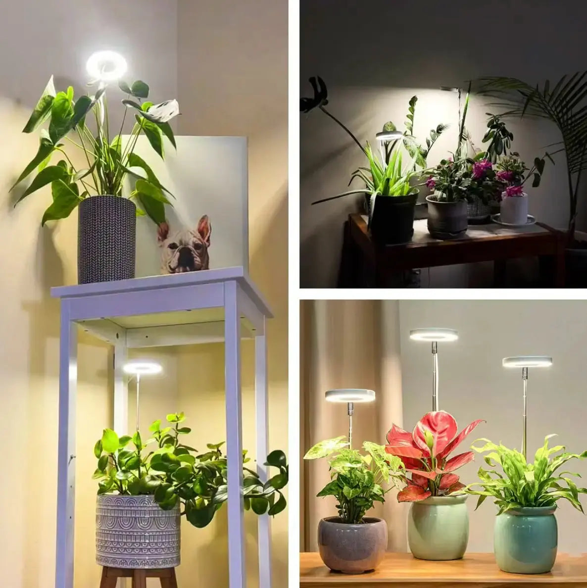 Verstelbare LED Plantlamp – Stralende groene planten in elk hoekje