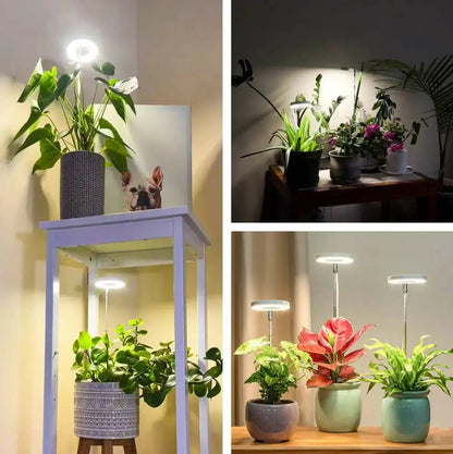 Verstelbare LED Plantlamp – Stralende groene planten in elk hoekje