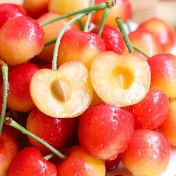 Rainier Cherry Zaden - Hoogwaardige kersen Zorenza