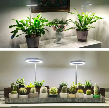 Verstelbare LED Plantlamp – Stralende groene planten in elk hoekje