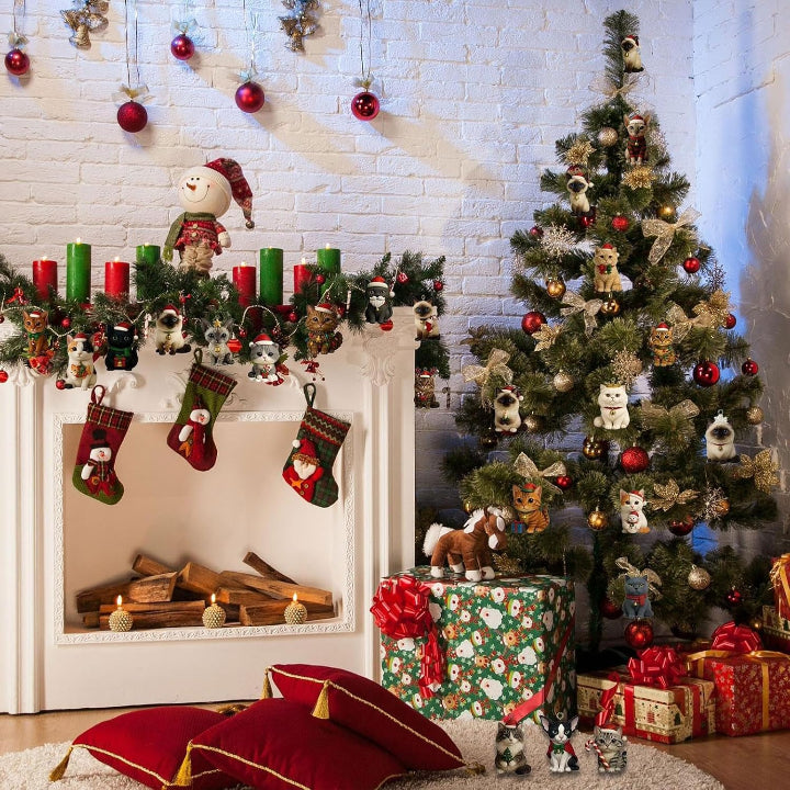 Katten adventskalender — beleef elke dag nieuwe vreugde