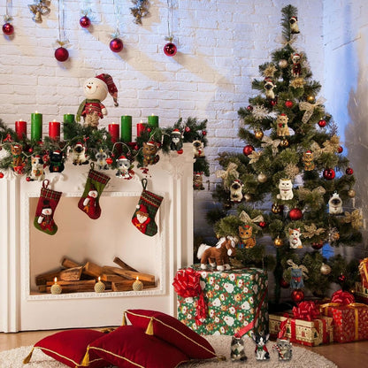 Katten adventskalender — beleef elke dag nieuwe vreugde