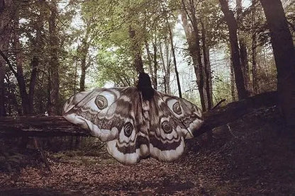 Mystieke Mantel "Grijze Mot" – Elegant en Magisch in een Adembenemende Cape