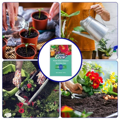Plantenvoedingsstokken – Langdurige voeding voor gezonde groei