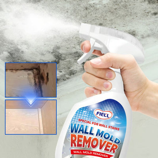 Sneldrogende anti-schimmel spray — geen schrobben nodig