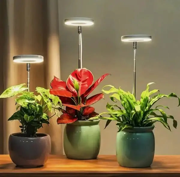 Verstelbare LED Plantlamp – Stralende groene planten in elk hoekje