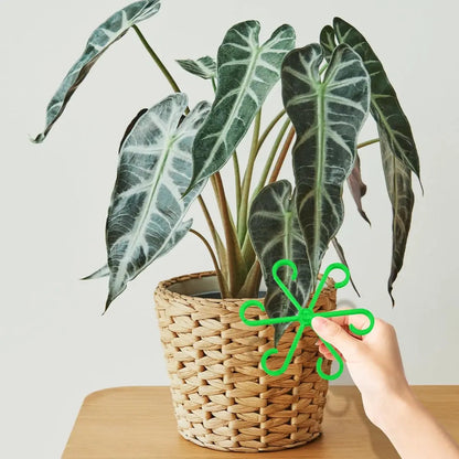 Set Stengelstabilisator voor Planten – Voor Gezonde Groei & Veilige Ondersteuning