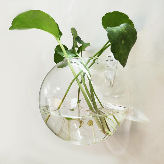 Wandplantenhouder — vertikale tuin & decoratieve vissenkom
