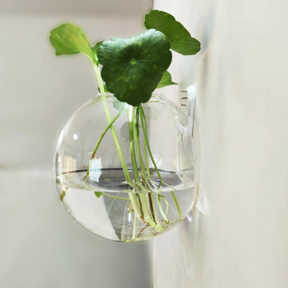 Wandplantenhouder — vertikale tuin & decoratieve vissenkom