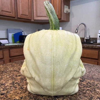 Hexen-Dekorformen für Kürbisse – Auch für Honigmelone & Squash geeignet Mivoza Deutschland