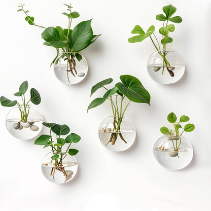Wandplantenhouder — vertikale tuin & decoratieve vissenkom