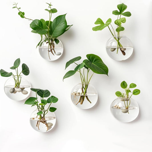 Wandplantenhouder — vertikale tuin & decoratieve vissenkom