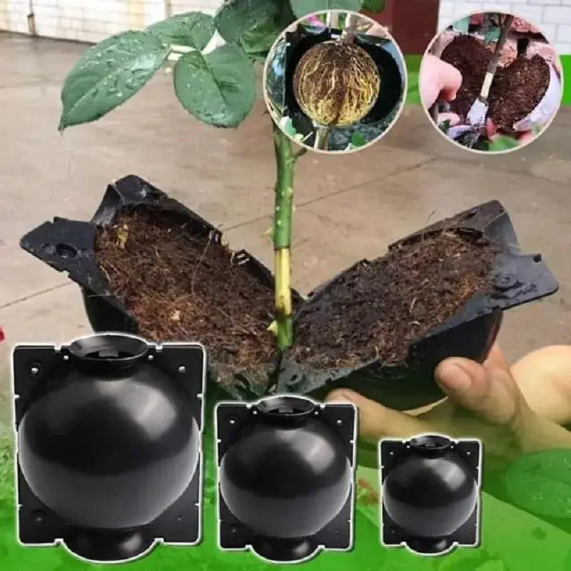 50% korting | RootGrow™️ Plantaardige wortelkweekdoos (set van 5)