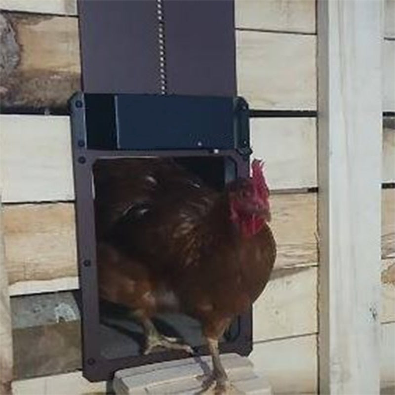 ChickCoop™️ Automatische Kippenhokdeur