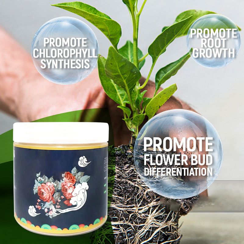 1+1 Gratis | PlantBoost™️ Beendermeel Biologische meststof - Bevordert de groei van bloemen en vruchten