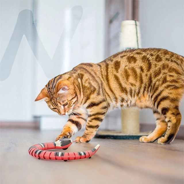 Snakey™️ | Lassen Sie Ihre Katze stundenlang spielen - Lozenza