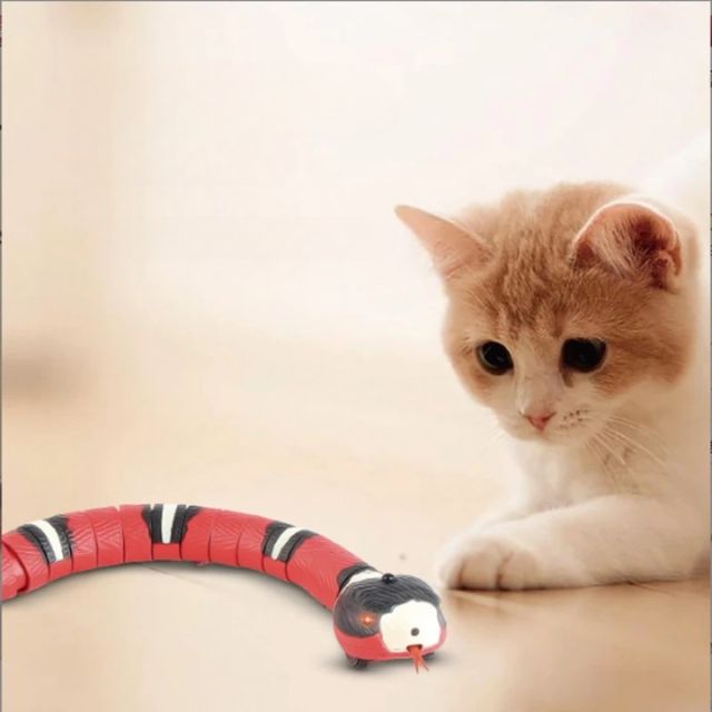 Snakey™️ | Lassen Sie Ihre Katze stundenlang spielen - Lozenza